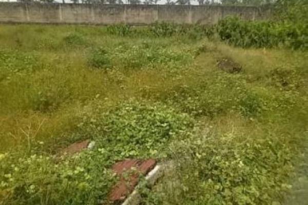 2 Acres of Farmland in Ughelli