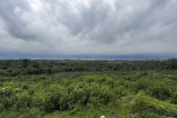 2.4 HECTARES LAND FOR SALE - LAGOS