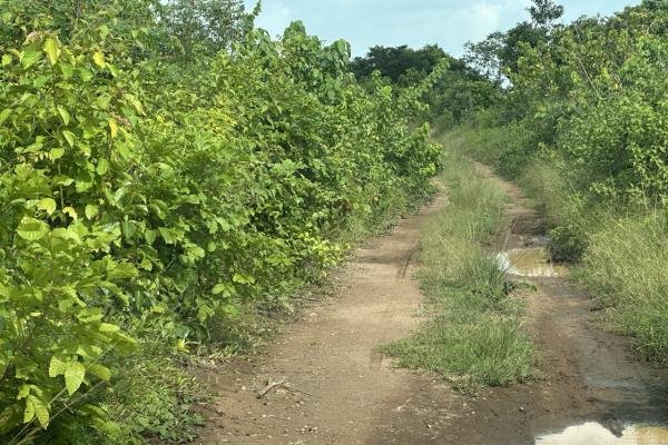 Plots of Land at Ogun